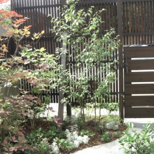 g-13-8